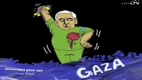 غزة والضمير الدولي