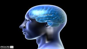 دراسة أمريكية: تدريبات المخ تقلل خطر الإصابة بالعته لدى البالغين