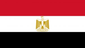 مصر تعبر عن خيبة أملها من تقرير المفوض السامي الخاص باليمن