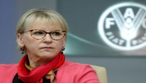 وزيرة خارجية السويد تدعو طرفي الصراع في اليمن لإجراء محادثات بناءة