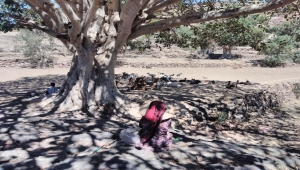 'I only knew about weddings': Destitute Yemenis sell their daughters to pay their debts