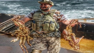 تغريدة لطارق صالح عن مأرب والعبدية تُثير السخرية.. ويمنيون يردون: غردي وارقدي