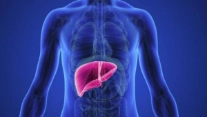 دراسة: دهون الكبد مرتبطة بالإصابة بهذا المرض