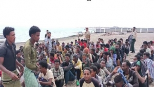 وصول 4396 مهاجرا أفريقيا إلى سواحل شبوة منذ مطلع العام الجاري