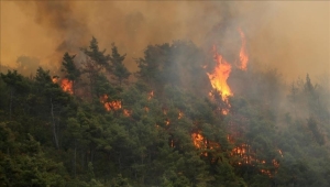 سوريا تعلن إخماد حرائق اللاذقية وتحذر من تداعيات خطيرة تمتد سنوات