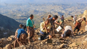 اليمن.. المبادرات المجتمعية بديلاً من مشاريع الدولة الخدمية