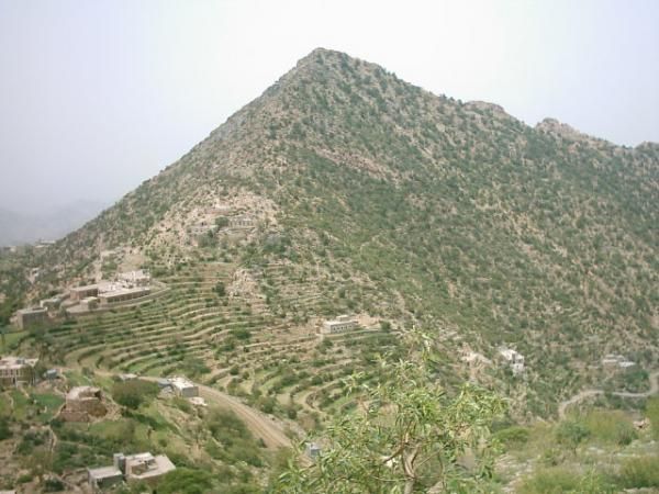 قوات الجيش تتصدى لهجمات حوثية في محيط جبل 