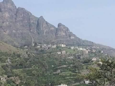 المقاومة الشعبية تصد هجوما عنيفا للحوثيين في سامع جنوب تعز