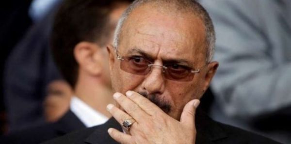 رواية مدين نجل 