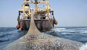 الحوثيون يدينون الاعتداء على الثروة السمكية من قبل السفن التجارية الأجنبية