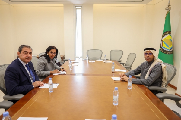 مباحثات خليجية أممية بشأن الأحداث في منطقة البحر الأحمر وخليج عدن