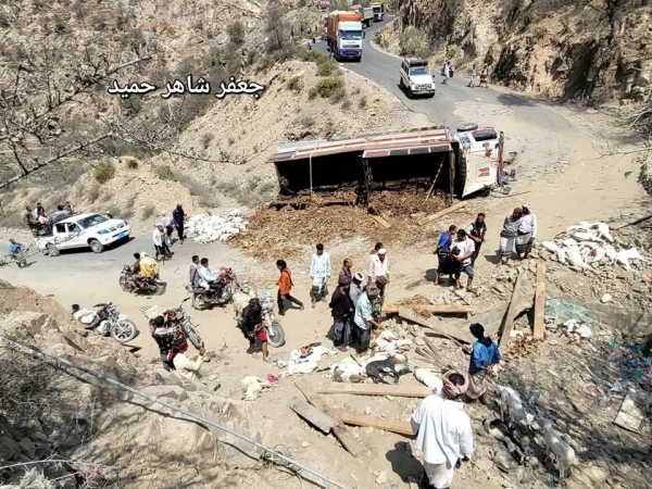 لحج.. نفوق أكثر من 100 رأس من الماشية جراء انقلاب شاحنة نقل في طريق القبيطة