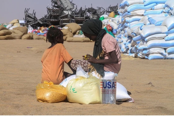 عضو بمجلس الشيوخ الأمريكي: الإمارات أكبر ممول لحملة الإبادة الجماعية في السودان