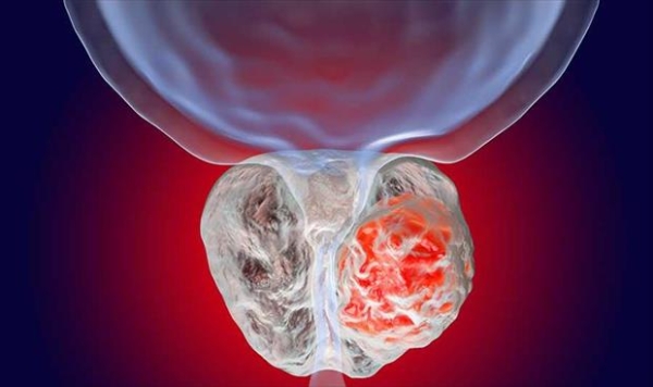 باحثون يحتفون بـ