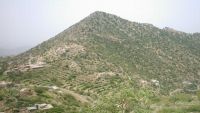 قوات الجيش تتصدى لهجمات حوثية في محيط جبل "هان" غربي تعز