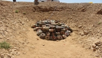 إتلاف 1230 لغماً أرضيا زرعتها جماعة الحوثي في الجوف
