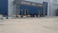 أغلقت القوات السعودية أبوابه أمام اليمنيين.. الكلاب تسرح وتمرح في مطار الغيضة الدولي (شاهد الصورة)