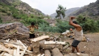 وسط ندرة الوقود.. غابات اليمن ضحية جديدة للحرب