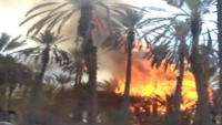 حريق يلتهم أربع مزارع في حضرموت ونحو 500 نخلة احترقت بالكامل