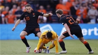 هولندا تهزم ويلز.. وبلجيكا تفوز على بولندا بدوري الأمم