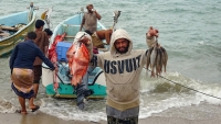 وفاة ثلاثة صيادين اثر غرق سفينة تجارية قبالة سواحل أبين