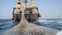 الحوثيون يدينون الاعتداء على الثروة السمكية من قبل السفن التجارية الأجنبية