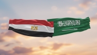 ما دلالات الشراكة السعودية المصرية في الأمن داخل البحر الأحمر وخليج عدن؟